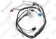 VAILLANT-Kabelbaum-VCW-205-255-3-E-R1-Vaillant-Nr-256198 gallery number 1